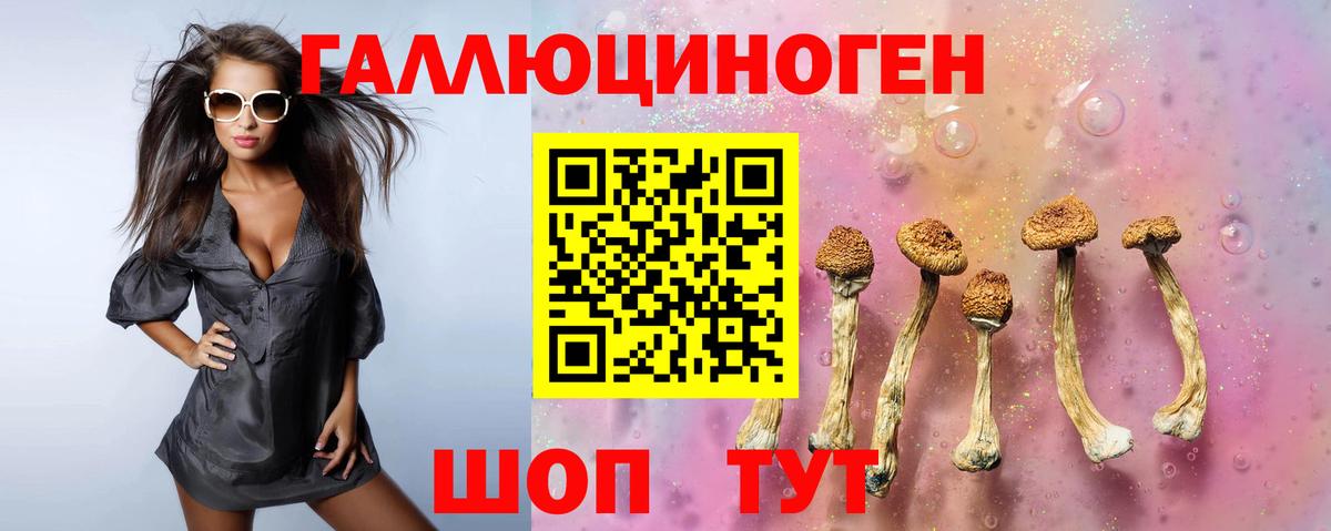 Железноводск  Галлюциногенные грибы Magic Shrooms  Вход с VPN  как найти закладки  Псилоцибиновые грибы мицелий 